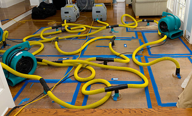Professional Flood Damage Restoration technician working in Rixeyville, VA